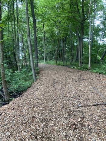 Scenic nature trail